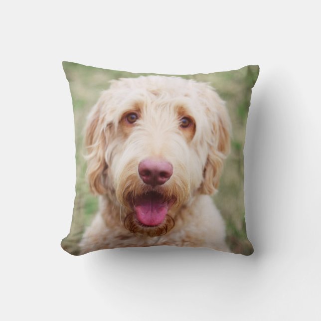 Goldendoodle Kissen (Vorderseite)
