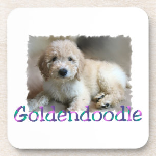 Goldendoodle Kunst Getränkeuntersetzer