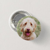 Goldendoodle Lächeln Button (Vorne & Hinten)