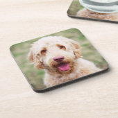 Goldendoodle Lächeln Getränkeuntersetzer (Linke Seite)
