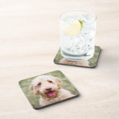 Goldendoodle Lächeln Getränkeuntersetzer (Rechte Seite)