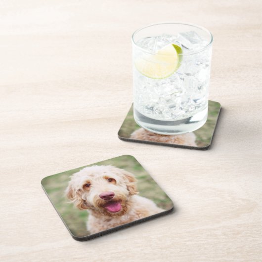 Goldendoodle Lächeln Getränkeuntersetzer (Rechte Seite)