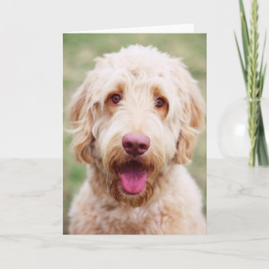 Goldendoodle Lächeln Karte (Vorderseite)