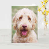 Goldendoodle Lächeln Karte (Gelbe Blume)