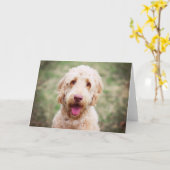 Goldendoodle Lächeln Karte (Gelbe Blume)