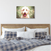 Goldendoodle Lächeln Leinwanddruck (Insitu (Schlafzimmer))