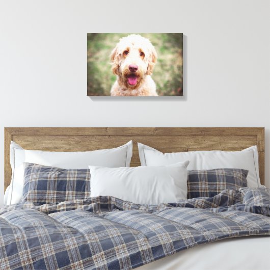 Goldendoodle Lächeln Leinwanddruck (Insitu (Schlafzimmer))
