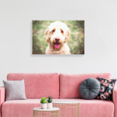 Goldendoodle Lächeln Leinwanddruck (Insitu (Wohnzimmer))