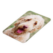 Goldendoodle Lächeln Magnet (Linke Seite)