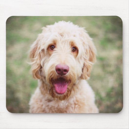 Goldendoodle Lächeln Mousepad (Vorne)