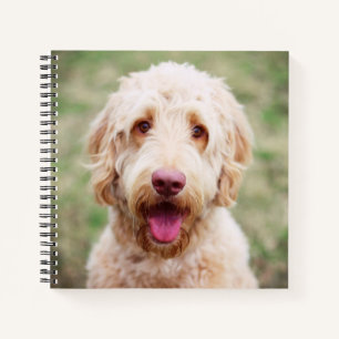 Goldendoodle Lächeln Notizblock