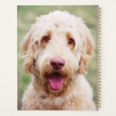 Goldendoodle Lächeln Planer (Rückseite)