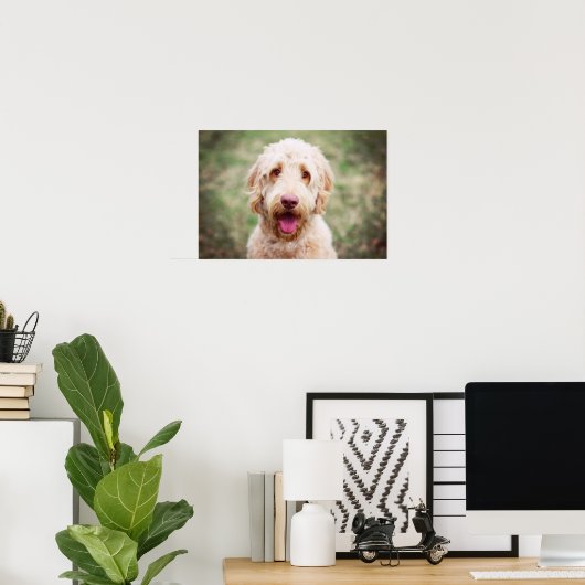 Goldendoodle Lächeln Poster (Heimbüro)