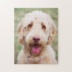 Goldendoodle Lächeln Puzzle