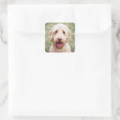Goldendoodle Lächeln Quadratischer Aufkleber (Tasche)