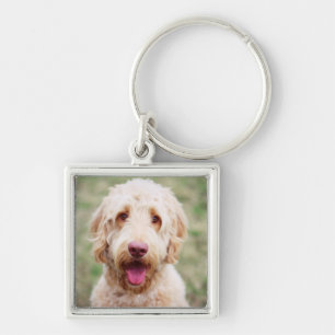 Goldendoodle Lächeln Schlüsselanhänger