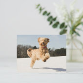 Goldendoodle läuft durch das Feld Postkarte (Stehend Vorderseite)