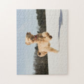 Goldendoodle läuft durch das Feld Puzzle (Vertikal)
