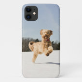Goldendoodle läuft durch Felder Case-Mate iPhone Hülle (Rückseite)