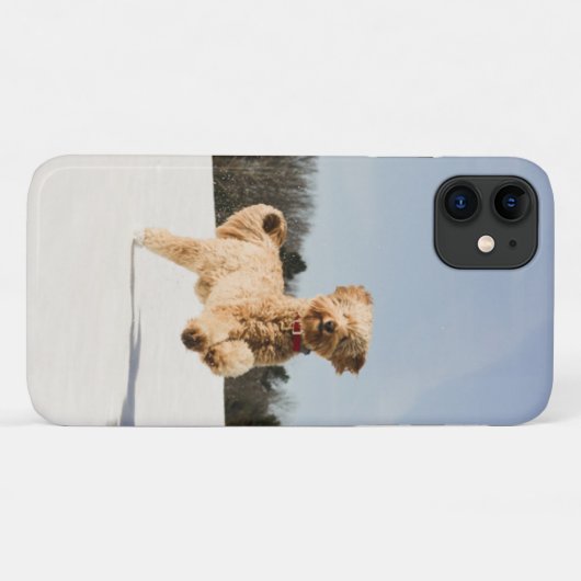 Goldendoodle läuft durch Felder Case-Mate iPhone Hülle (Rückseite (Horizontal))