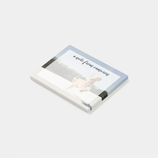 Goldendoodle läuft durch Felder Post-it Klebezettel (angewinkelt)