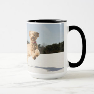 Goldendoodle läuft durch Felder Tasse