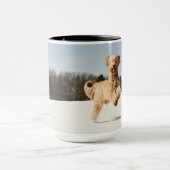Goldendoodle läuft durch Felder Tasse (Zentrum)