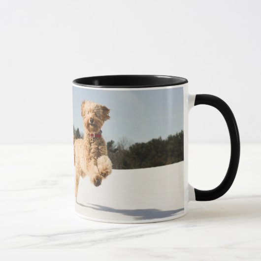 Goldendoodle läuft durch Felder Tasse (Rechts)