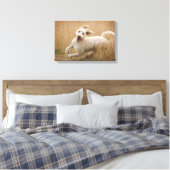 Goldendoodle läuft durch Gras Leinwanddruck (Insitu (Schlafzimmer))
