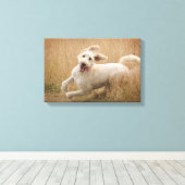 Goldendoodle läuft durch Gras Leinwanddruck (Insitu (Holzboden))