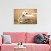 Goldendoodle läuft durch Gras Leinwanddruck (Insitu (Wohnzimmer))