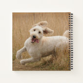 Goldendoodle läuft durch Gras Notizblock (Rückseite)