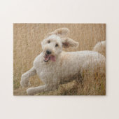 Goldendoodle läuft durch Gras Puzzle (Horizontal)