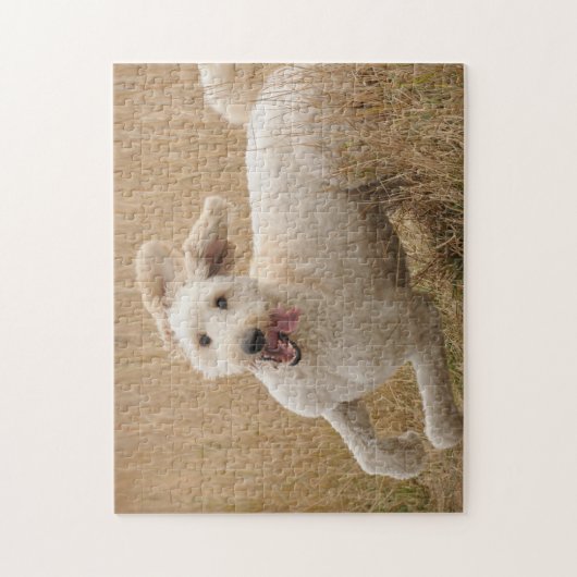 Goldendoodle läuft durch Gras Puzzle (Vertikal)