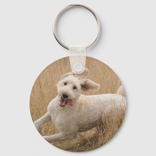 Goldendoodle läuft durch Gras Schlüsselanhänger (Vorderseite)
