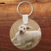 Goldendoodle läuft durch Gras Schlüsselanhänger (Vorderseite)