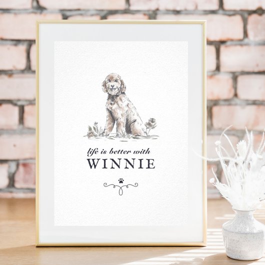 Goldendoodle-Lebensdauer ist besser mit einem benu Poster