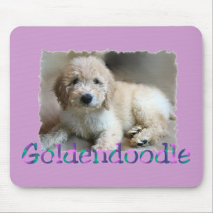 Goldendoodle Liebhaber Geschenke Mousepad
