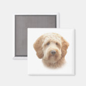Goldendoodle-Magnet Magnet (Vorderseite/Rückseite)