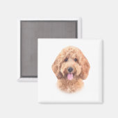 Goldendoodle-Magnet Magnet (Vorderseite/Rückseite)