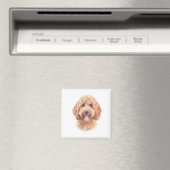 Goldendoodle-Magnet Magnet (In Situ (Geschirrspüler))