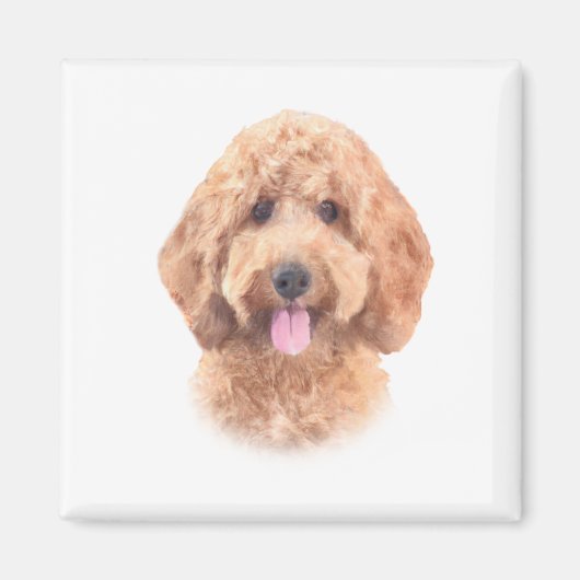 Goldendoodle-Magnet Magnet (Vorne)