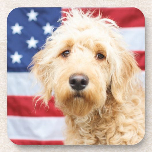 Goldendoodle mit amerikanischer Flagge Getränkeuntersetzer (Vorderseite)