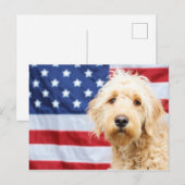 Goldendoodle mit amerikanischer Flagge Postkarte (Vorne/Hinten)