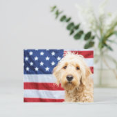 Goldendoodle mit amerikanischer Flagge Postkarte (Stehend Vorderseite)
