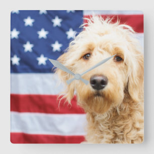 Goldendoodle mit amerikanischer Flagge Quadratische Wanduhr