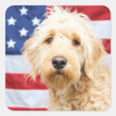Goldendoodle mit amerikanischer Flagge Quadratischer Aufkleber (Vorderseite)