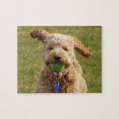 Goldendoodle mit Ball Puzzle (Horizontal)