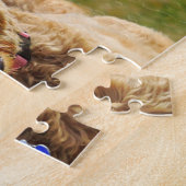 Goldendoodle mit Ball Puzzle (Seite)