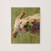 Goldendoodle mit Ball Puzzle (Vertikal)